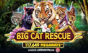 Imagem do jogo Big Cat Rescue Megaways no 236bet